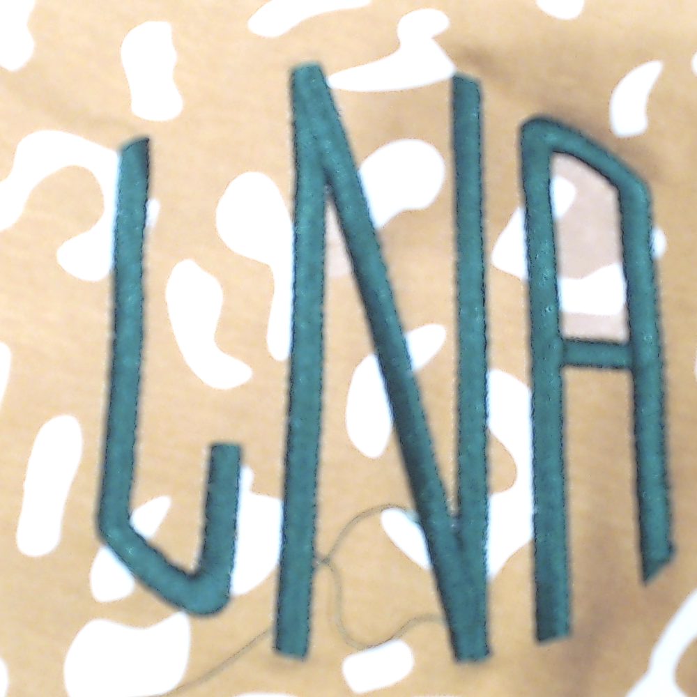 BLOOPER CLOTHING: Monogrammed Lightweight Sweatshirt