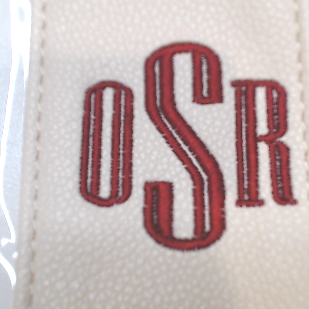 BLOOPER BAG: Monogrammed Clear Stadium Crossbody Bag