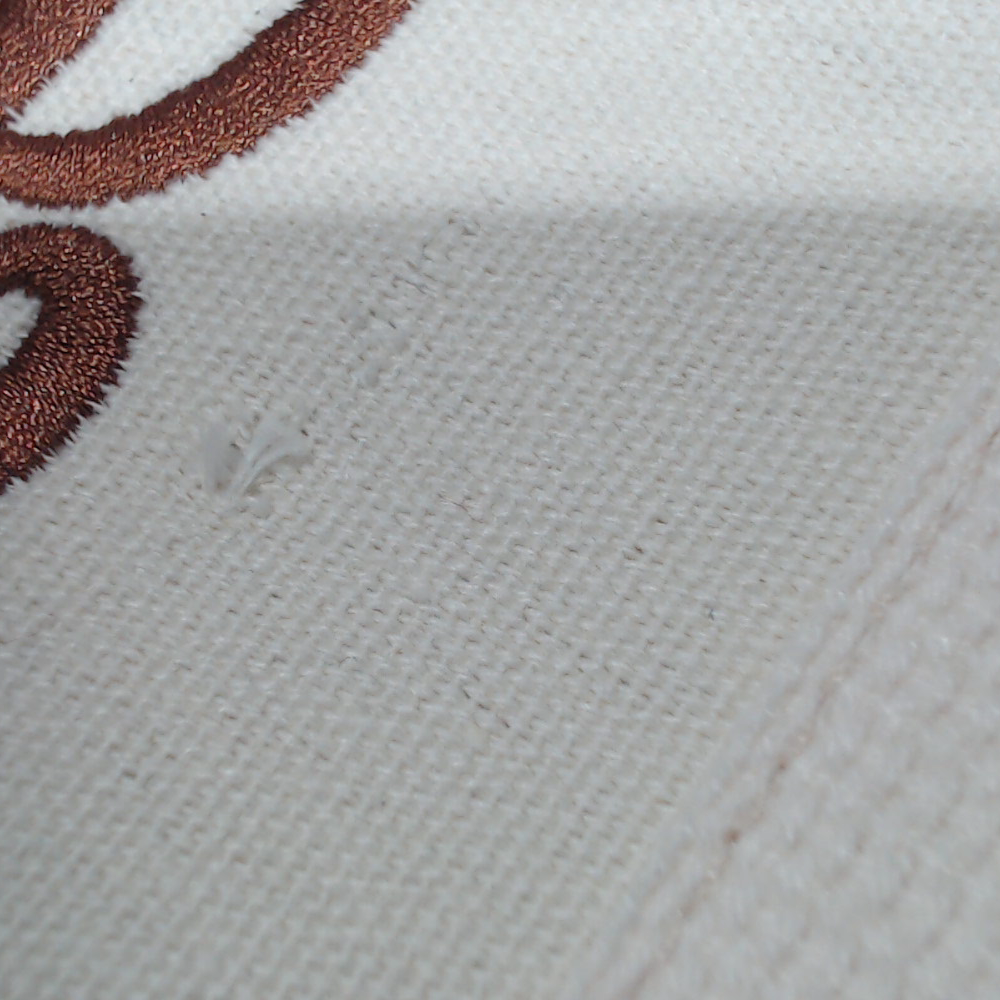BLOOPER ACCESSORY: Monogrammed Slow Cooker Carrier