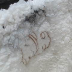 BLOOPER SHOES: Monogrammed Sherpa Tie Booties