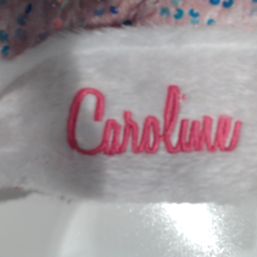 BLOOPER ACCESSORY: Personalized Santa Hat