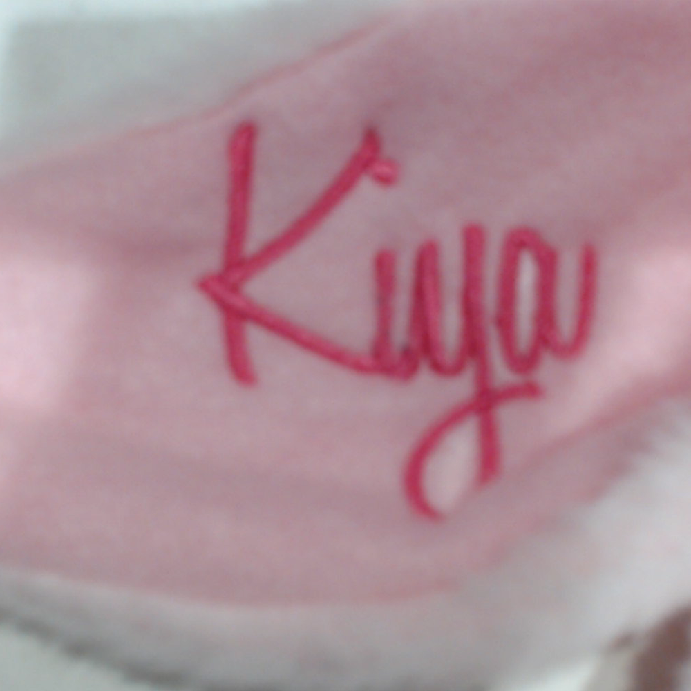 BLOOPER KIDS: Monogrammed Bunny Easter Basket