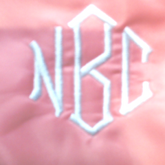 BLOOPER KIDS: Monogrammed Kids Belt Bag