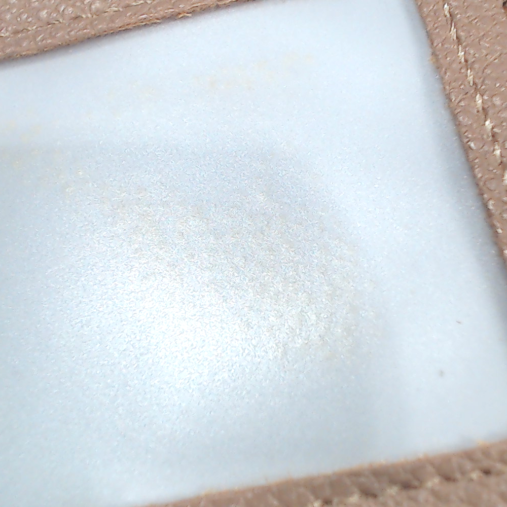 BLOOPER BAG: Monogrammed Phone Wallet
