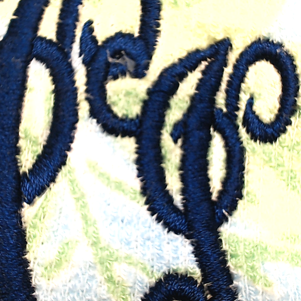 BLOOPER CLOTHING: Monogrammed Shorts