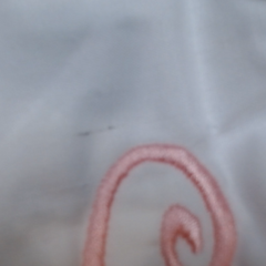 BLOOPER KIDS: Monogrammed White Eyelet Baby Bloomers
