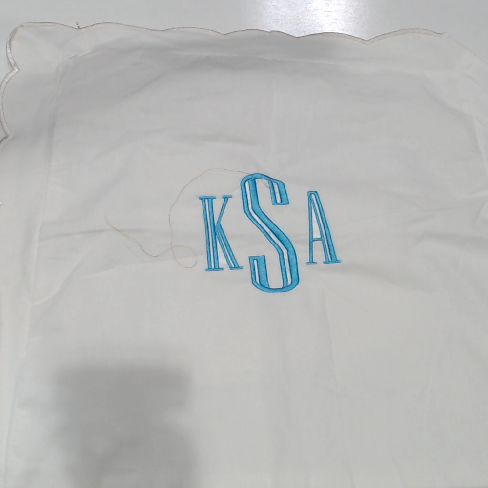 BLOOPER ACCESSORY: Monogrammed Pillow Sham