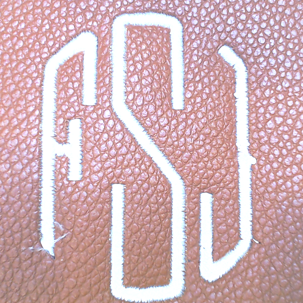 BLOOPER BAG: Monogrammed Phone Crossbody