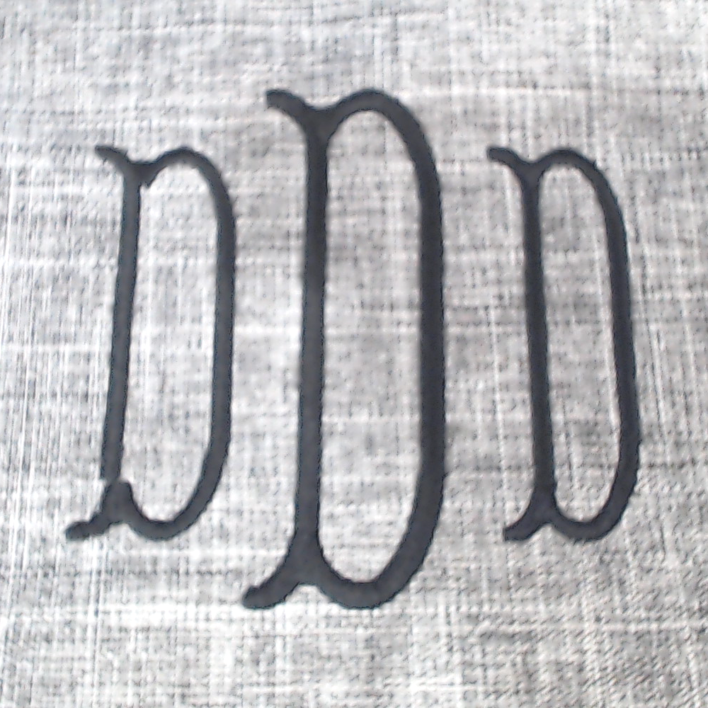 BLOOPER BAG: Monogrammed Trunk Organizer