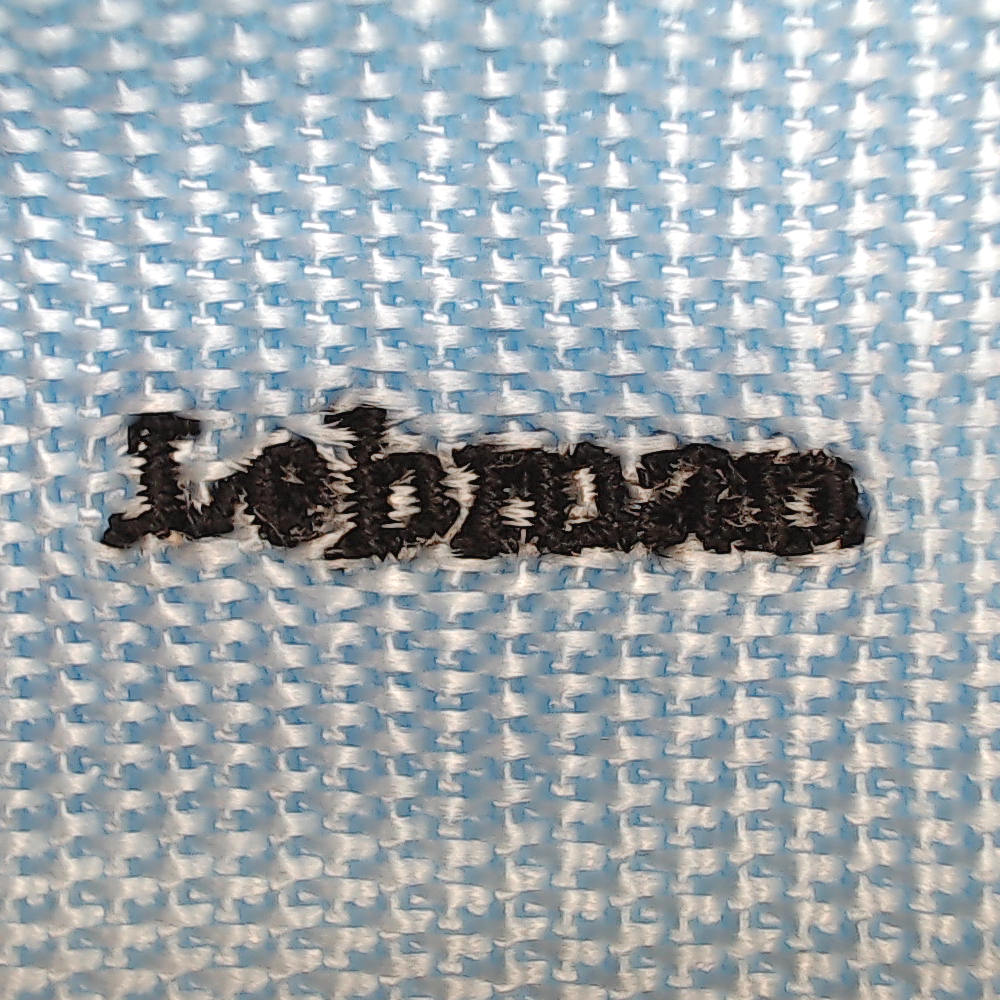 BLOOPER ACCESSORY: Monogrammed Luggage Cover
