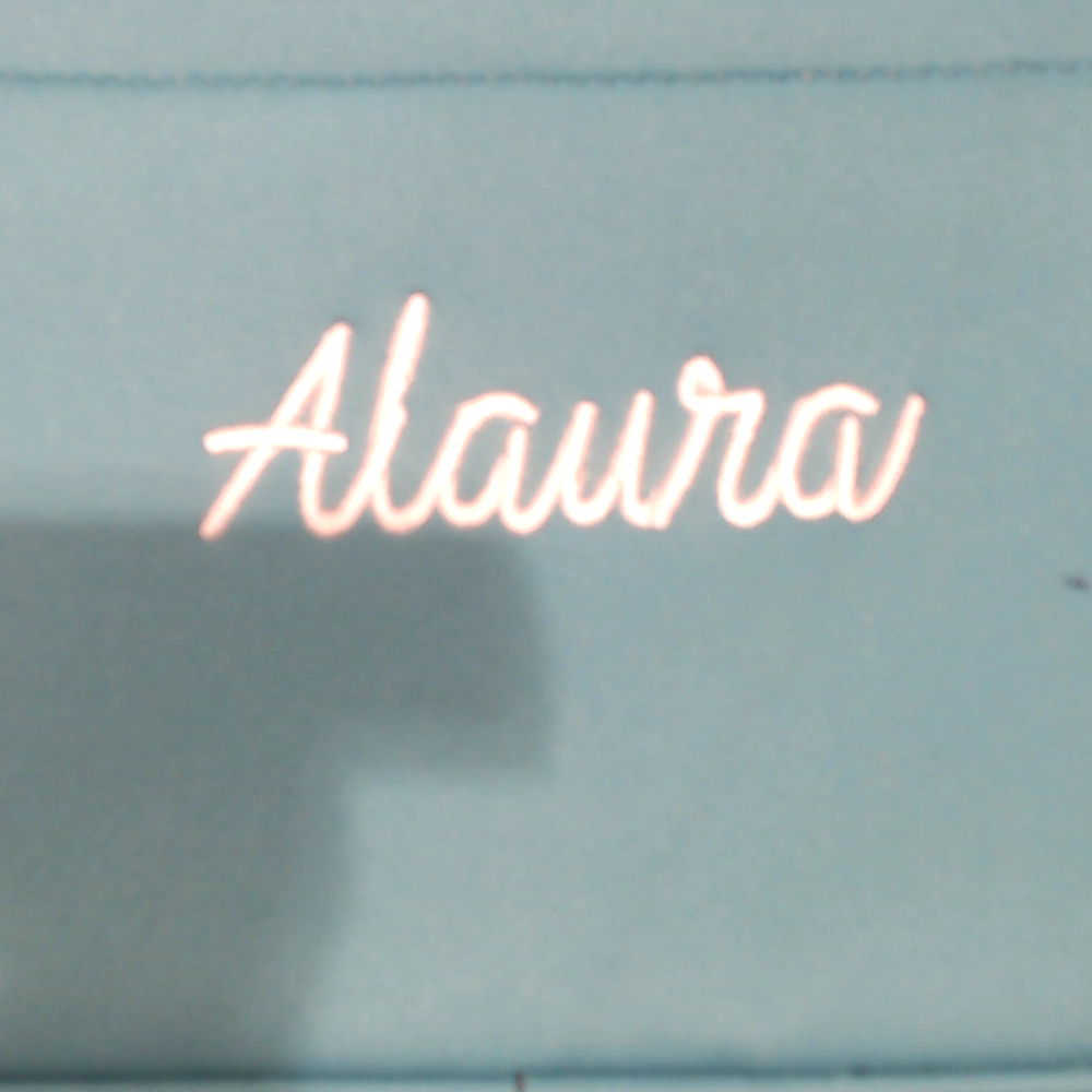 BLOOPER BAG: Monogrammed Lunch Bag