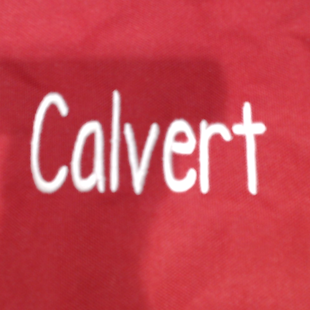 BLOOPER BAG: Monogrammed Extra Large Tote Bag