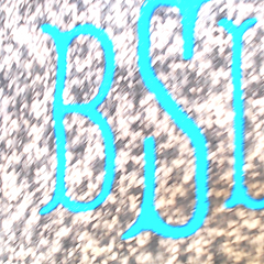 BLOOPER KIDS: Monogrammed Youth Knit Vest
