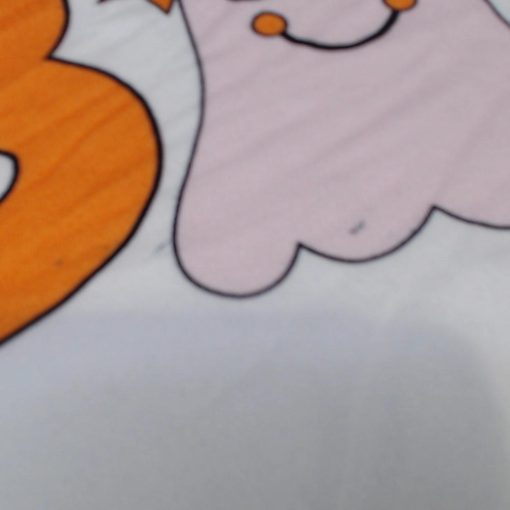 BLOOPER CLOTHING: Personalized Hey Boo Long Sleeve Shirt