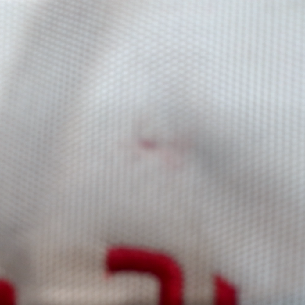 BLOOPER BAG: Monogrammed Nylon Tote Bag