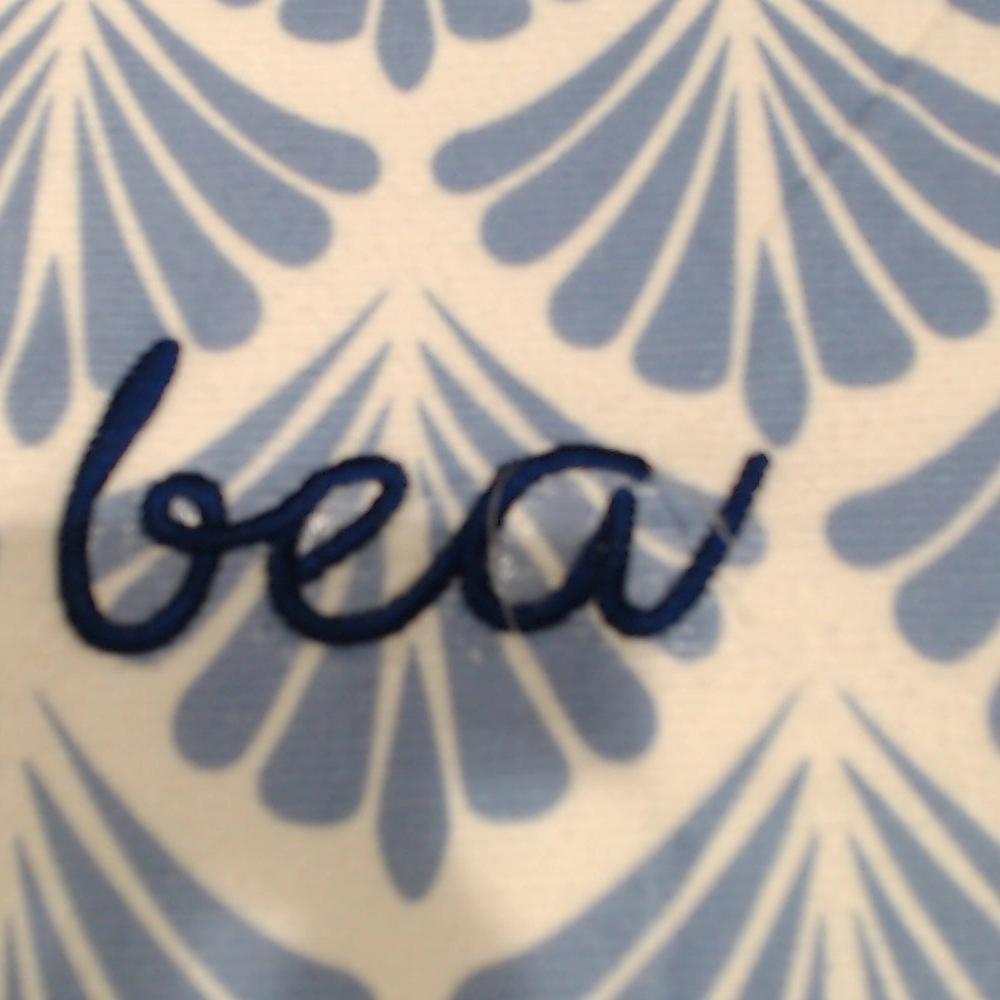 BLOOPER SWIM: Monogrammed Beach Towel