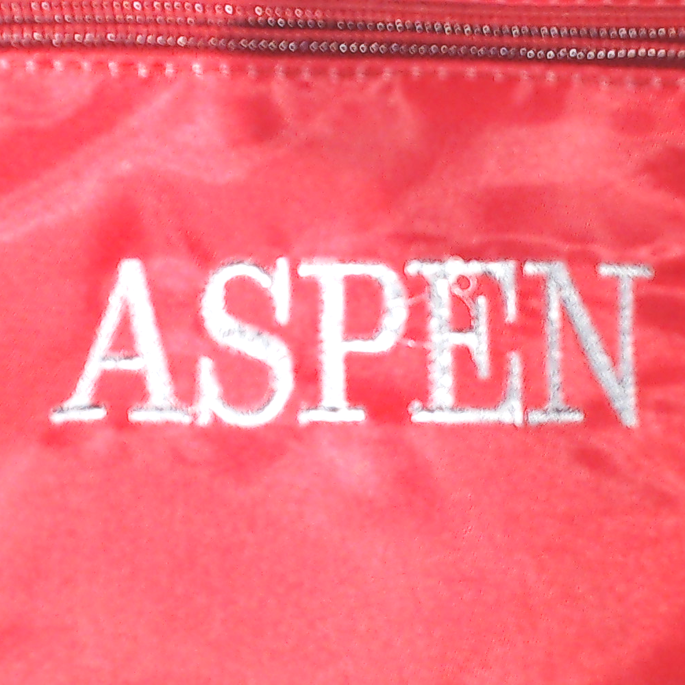 BLOOPER BAG: Monogrammed Carry On Weekender
