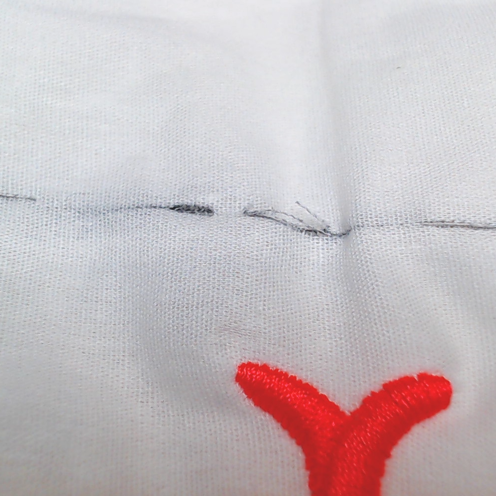 BLOOPER ACCESSORY: Monogrammed Pillow Sham
