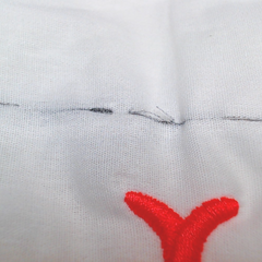 BLOOPER ACCESSORY: Monogrammed Pillow Sham