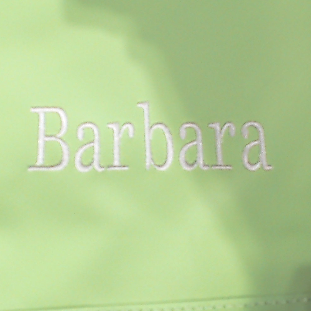 BLOOPER BAG: Monogrammed Splash Proof Zip Pouch