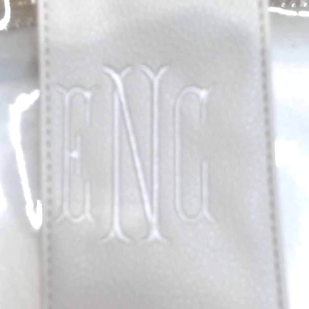 BLOOPER BAG: Monogrammed Clear Stadium Crossbody Bag
