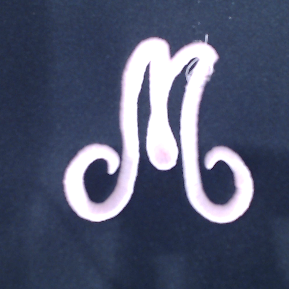 BLOOPER BAG: Monogrammed Lunch Bag