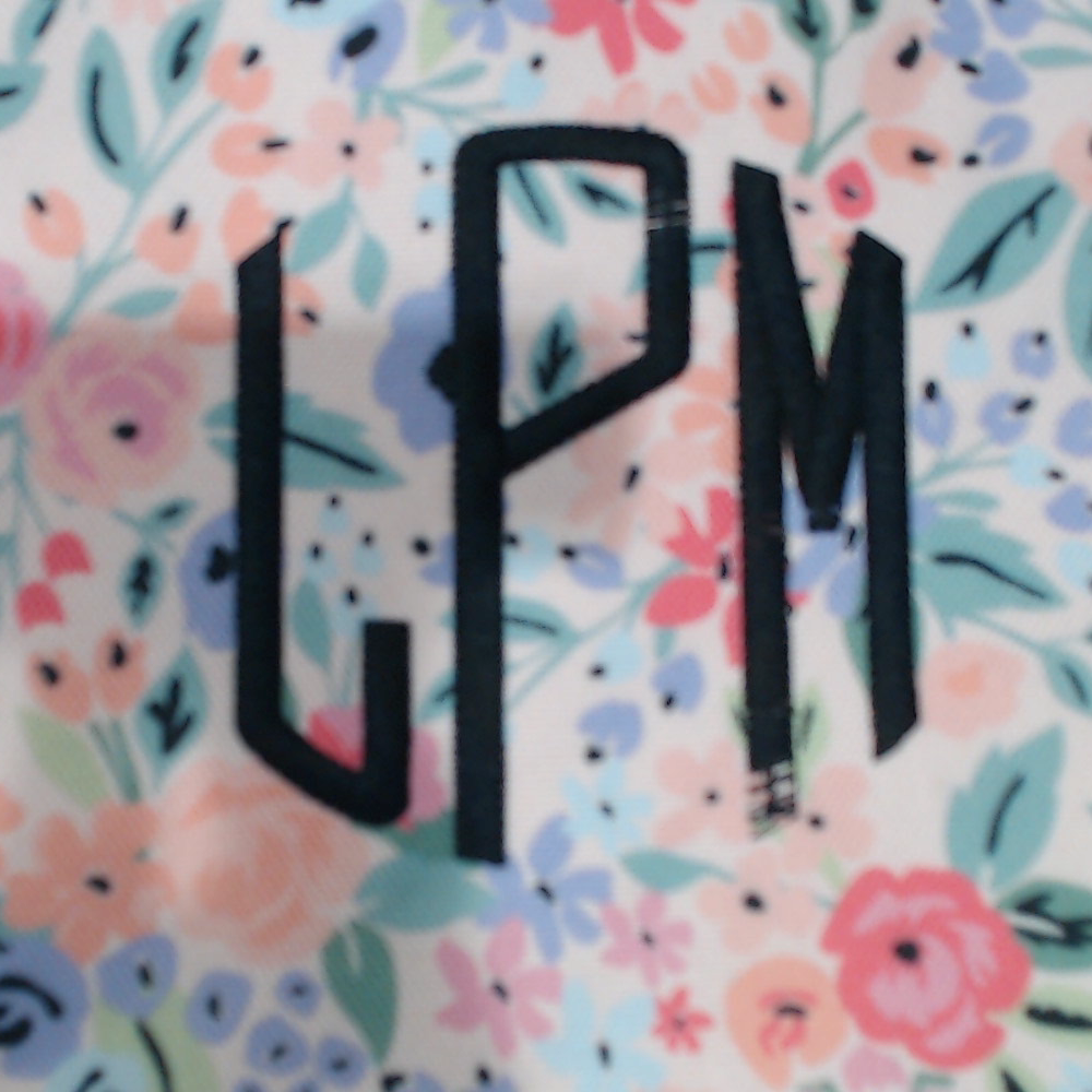 BLOOPER ACCESSORY: Monogrammed Slow Cooker Carrier