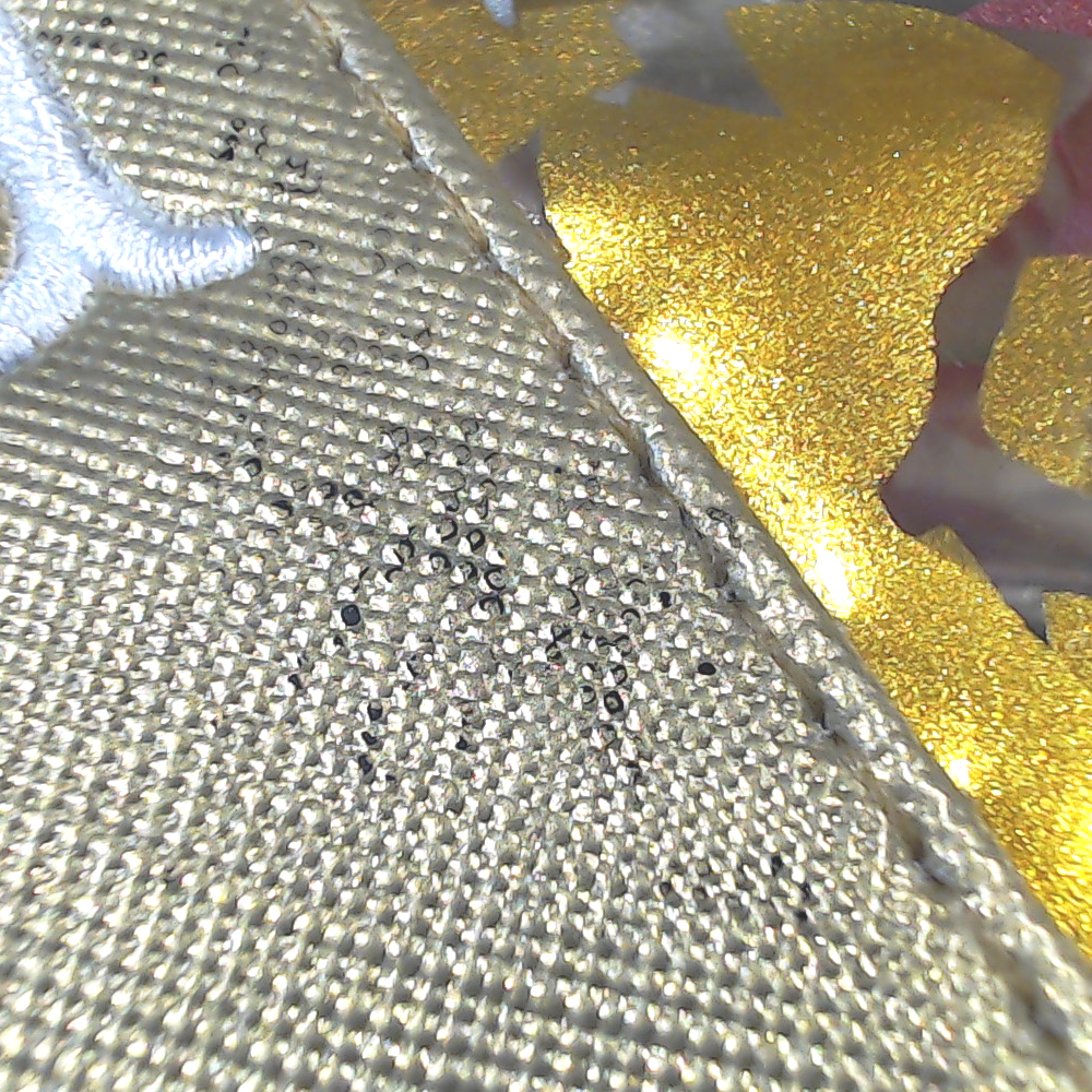 BLOOPER BAG: Monogrammed Clear Ditty Bag