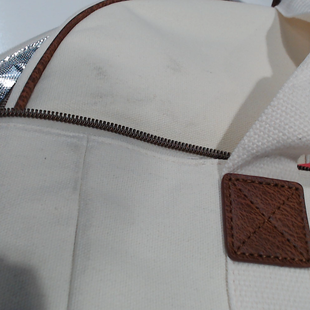 BLOOPER ACCESSORY: Monogrammed Slow Cooker Carrier