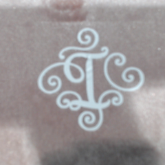 BLOOPER ACCESSORY: Monogrammed Velvet Travel Jewelry Case