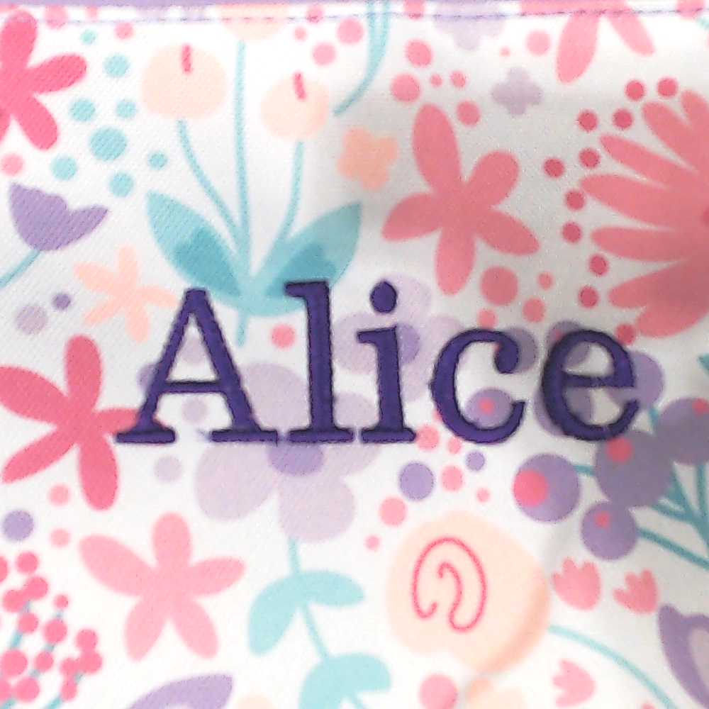 BLOOPER BAG: Monogrammed Essentials Pouch