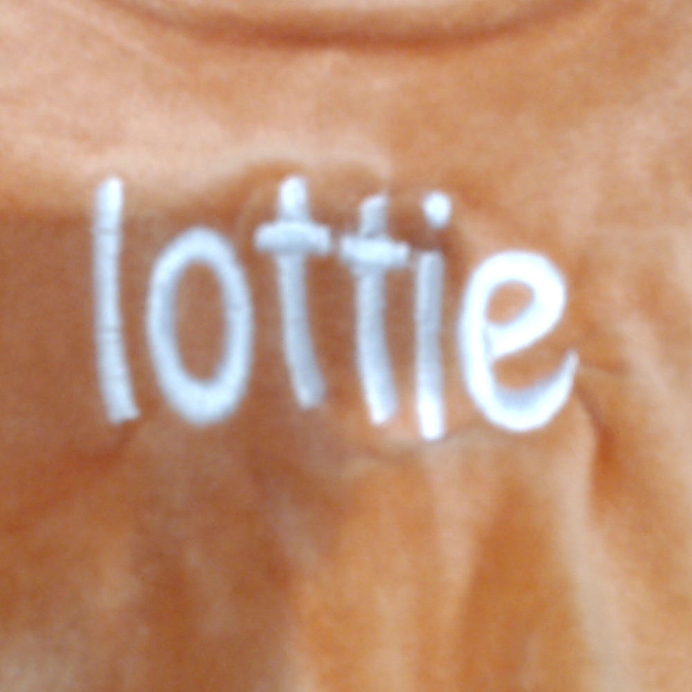 BLOOPER CLOTHING: Monogrammed Girls Softspun Ruffle Sweatshirt