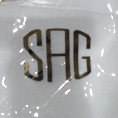 BLOOPER BAG: Personalized Clear Stadium Bag