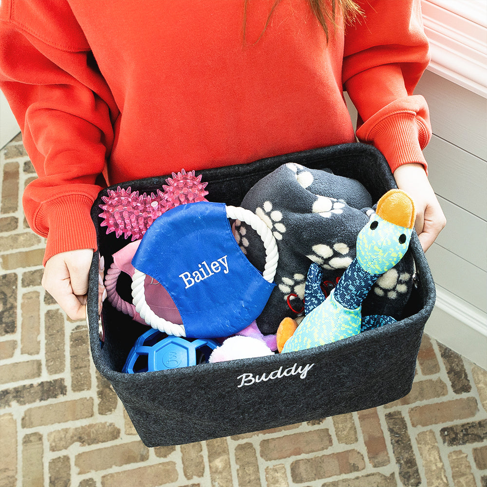 Pet personalized storage basket carried by girl