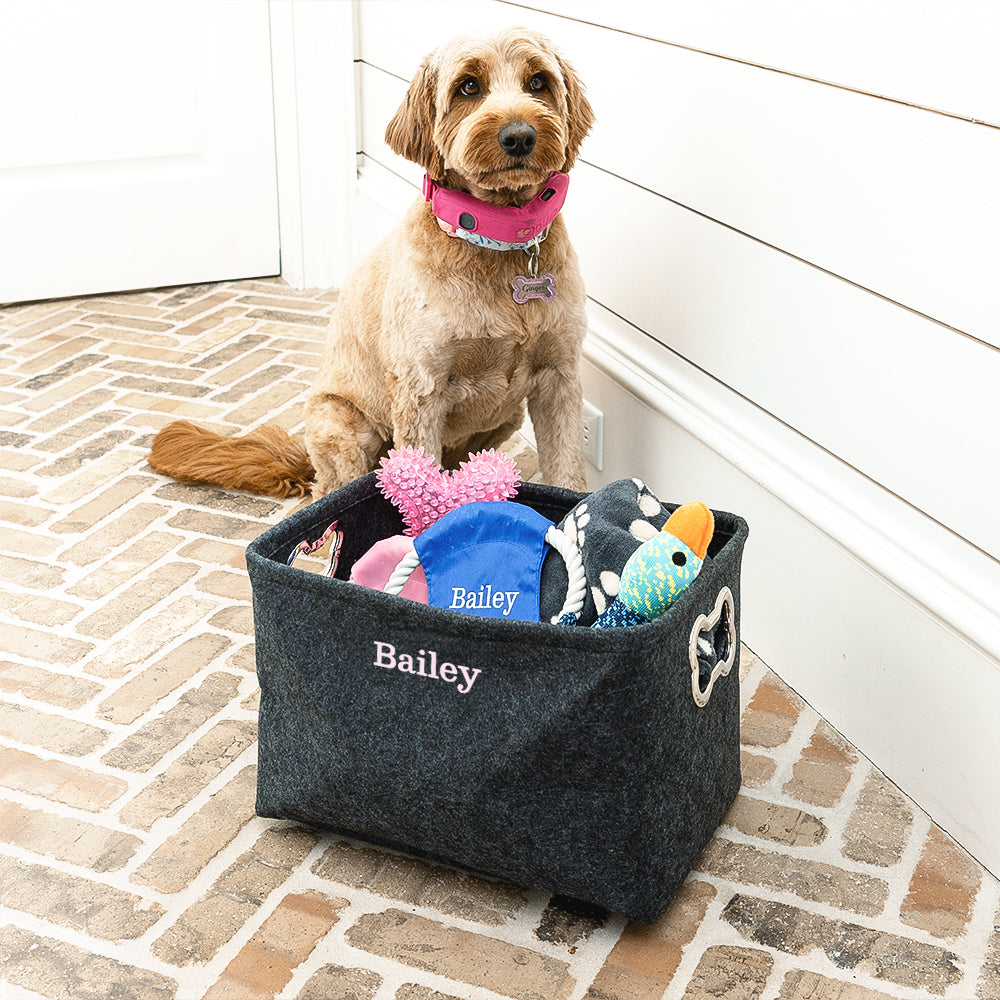Pet personalized storage basket with toys and dog