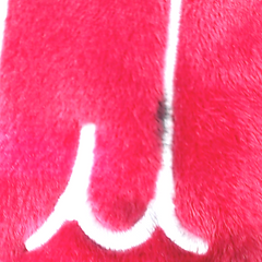 BLOOPER CLOTHING: Monogrammed Softspun Sweatshirt