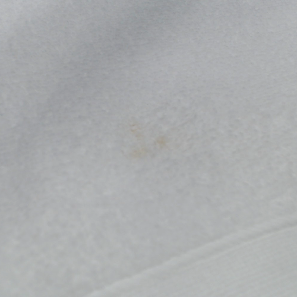 BLOOPER ACCESSORY: Monogrammed Bath Towel