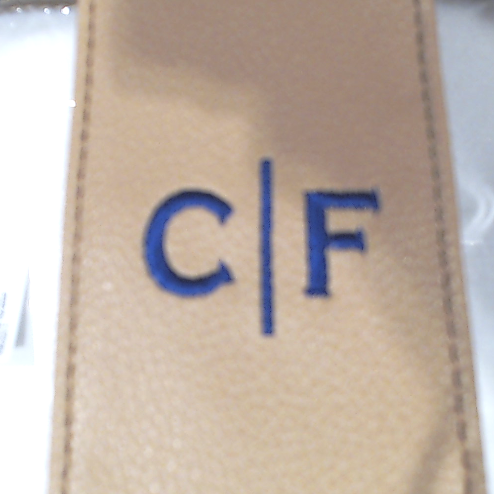 BLOOPER BAG: Monogrammed Clear Stadium Crossbody Bag