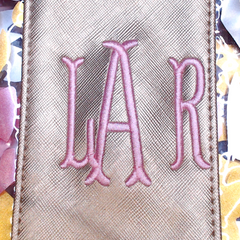 BLOOPER BAG: Monogrammed Clear Ditty Bag