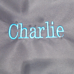 BLOOPER KIDS: Personalized Lunch Box