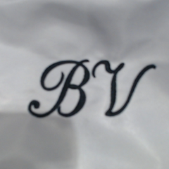 BLOOPER BAG: Monogrammed Belt Bag