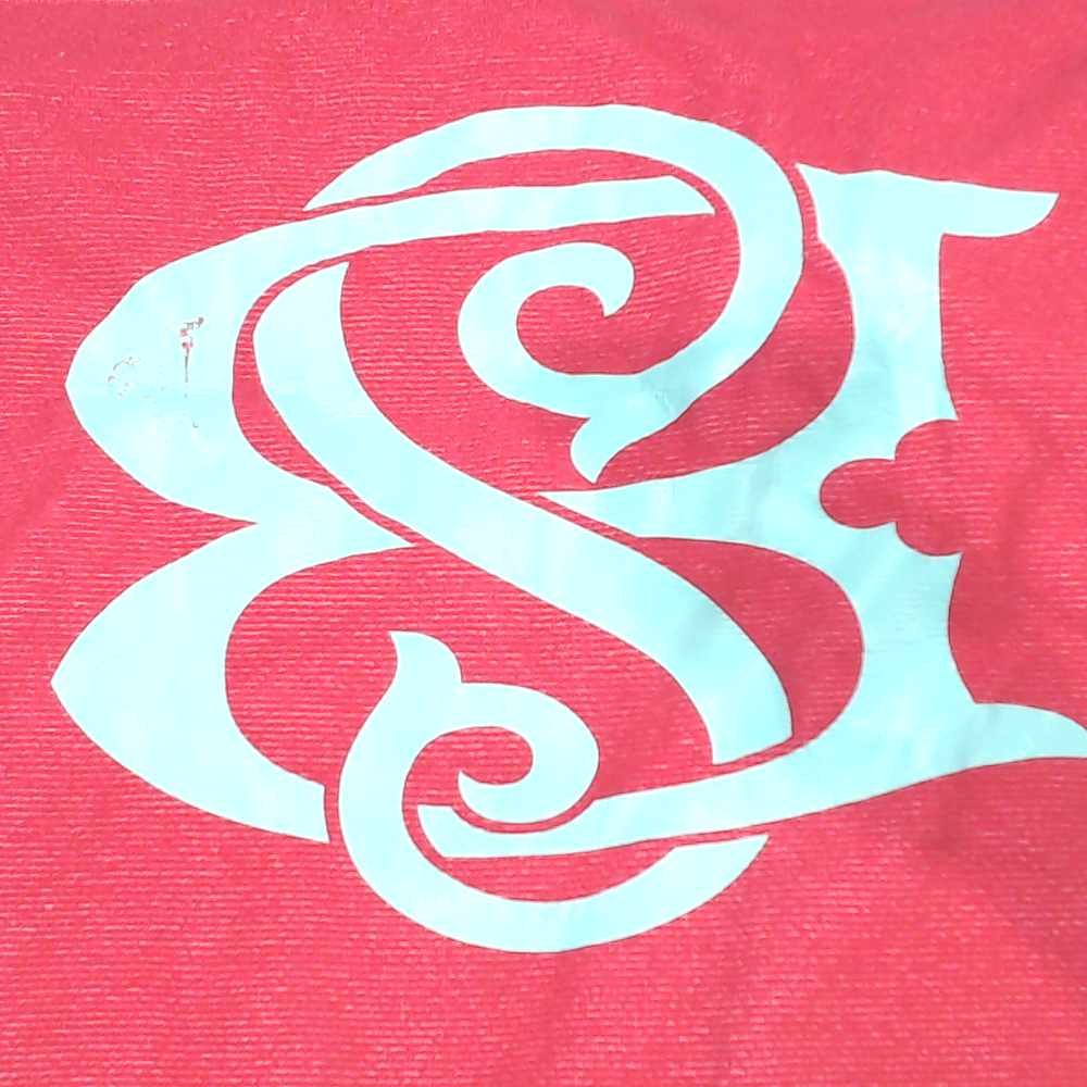 BLOOPER ACCESSORY: Monogrammed Chair Cover