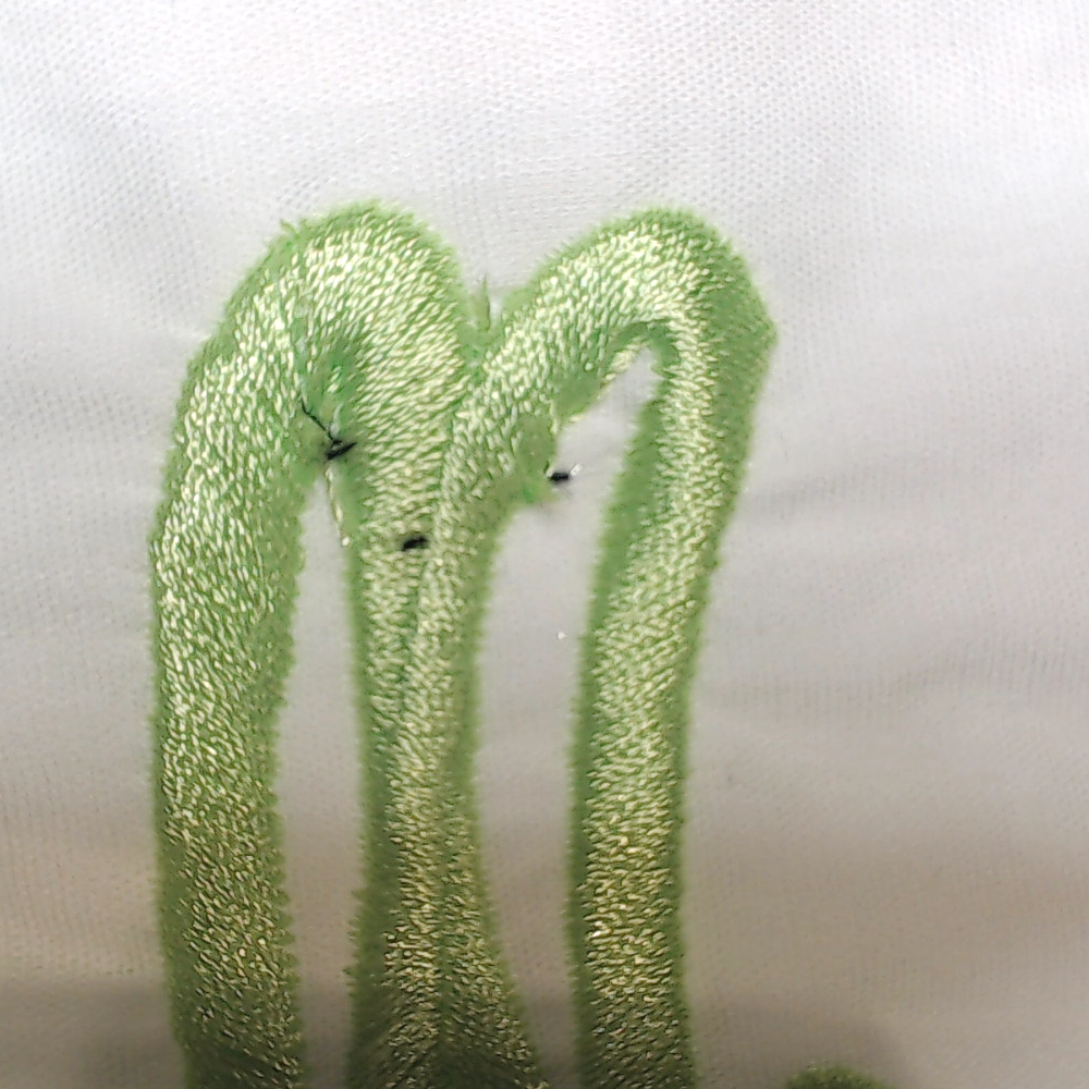 BLOOPER ACCESSORY: Monogrammed Pillow Sham
