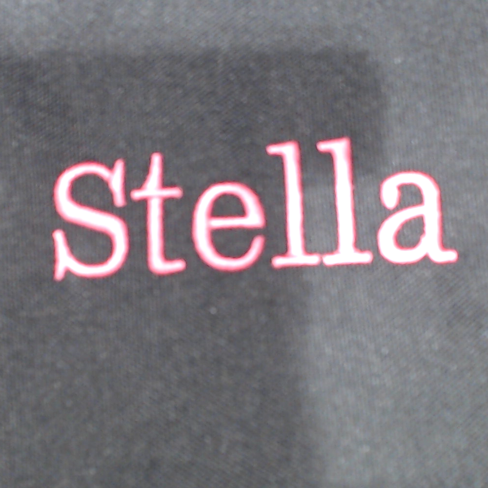 BLOOPER BAG: Monogrammed Extra Large Tote Bag
