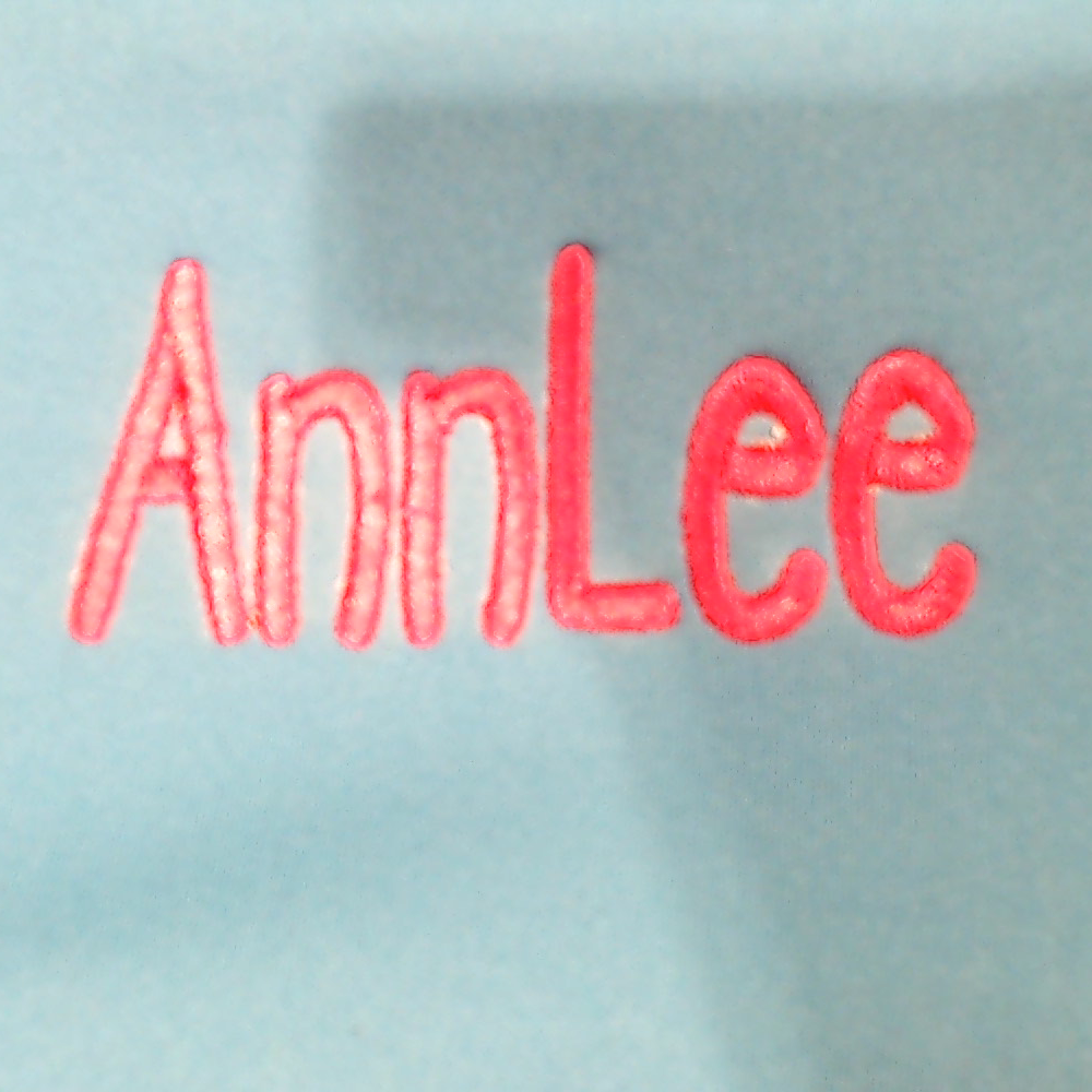BLOOPER BAG: Monogrammed Lunch Bag