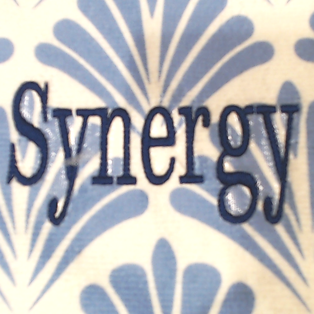 BLOOPER SWIM: Monogrammed Beach Towel