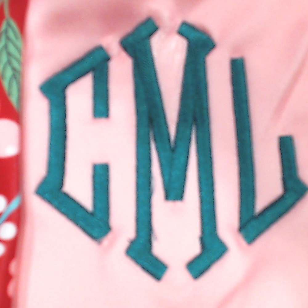 BLOOPER ACCESSORY: Monogrammed Luggage Cover
