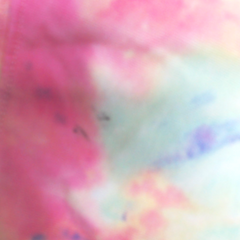 BLOOPER CLOTHING: Monogrammed Tie Dye T-Shirt