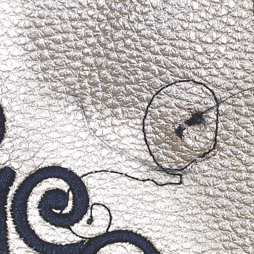 BLOOPER BAG: Monogrammed Purse Tote