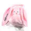 BLOOPER KIDS: Monogrammed Bunny Easter Basket
